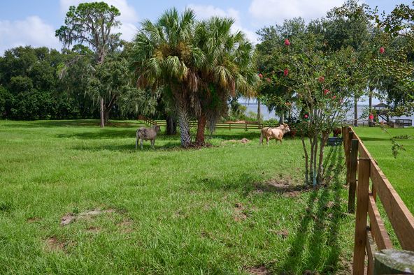 3111 Masterpiece Rd, Lake Wales, FL 33898